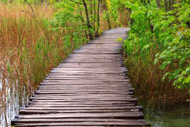 Ahşap yolundaki Plitvice Milli Parkı