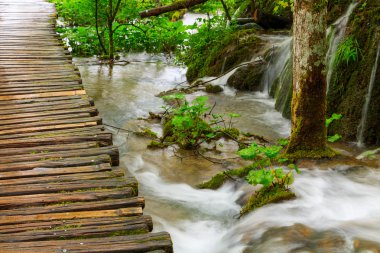 Ahşap yolundaki Plitvice Milli Parkı