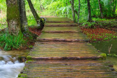 Ahşap yolundaki Plitvice Milli Parkı