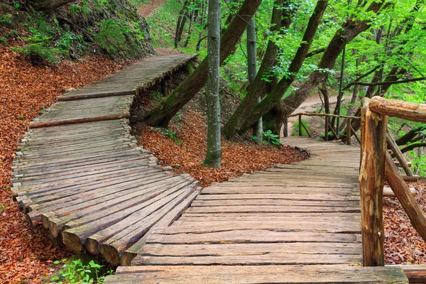 Camino de madera en el parque nacional de Plitvice —  Fotos de Stock