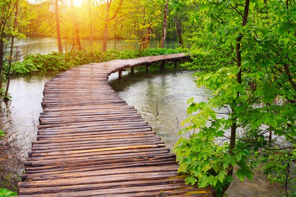 Camino de madera en el parque nacional de Plitvice — Foto de Stock