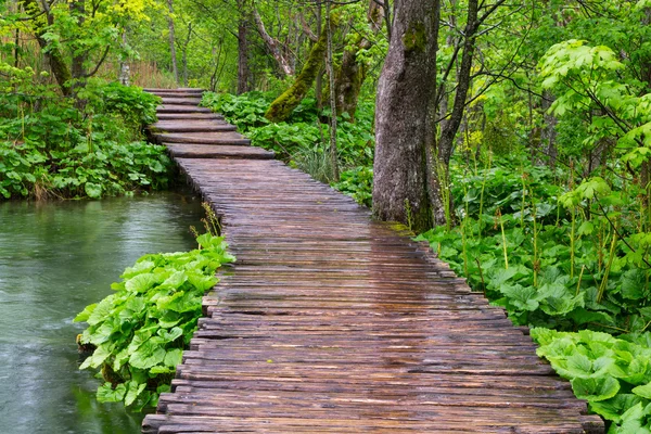 Camino de madera en el parque nacional de Plitvice — Foto de Stock