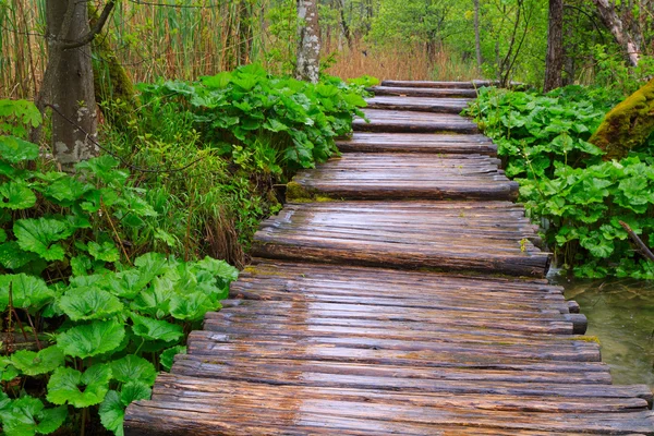 Camino de madera en el parque nacional de Plitvice — Foto de Stock