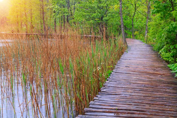 Camino de madera en el parque nacional de Plitvice — Foto de Stock