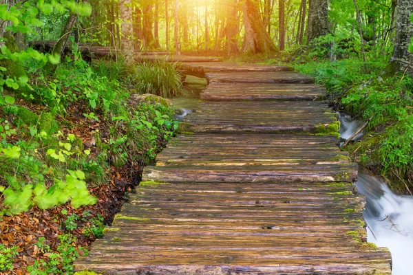 Camino de madera en el parque nacional de Plitvice — Foto de Stock