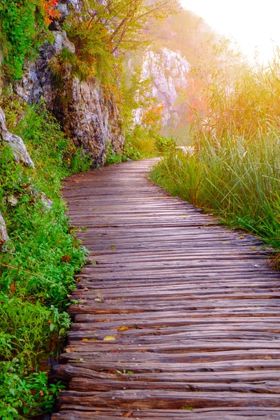 Деревянная дорожка в Плитвицком национальном парке — стоковое фото