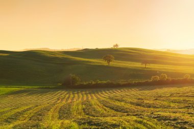 Tipik Tuscany manzara bahar