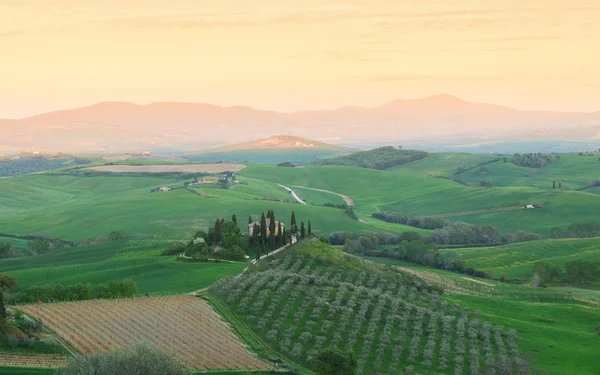 Farmhouse, green hills, cypress trees in Tuscany at sunset — стоковое фото