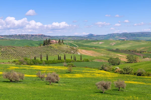 Bauernhaus, grüne Hügel, Zypressen in der Toskana — Stockfoto