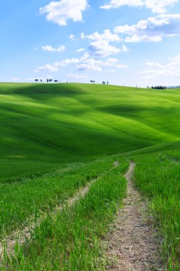 Tipik Tuscany manzara bahar gündoğumu