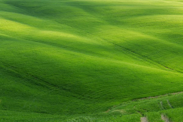 Typical Tuscany landscape springtime — Stock Photo, Image