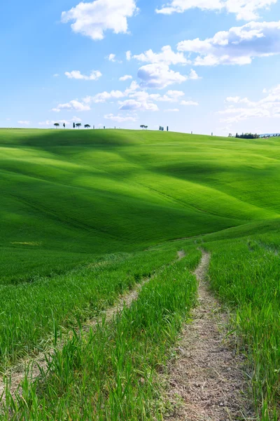 Paisaje típico toscano primavera al amanecer — Foto de Stock