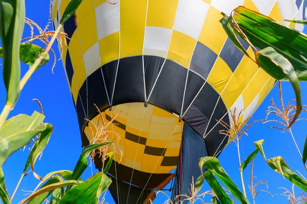 Färgglad luftballong tidigt på morgonen — Stockfoto