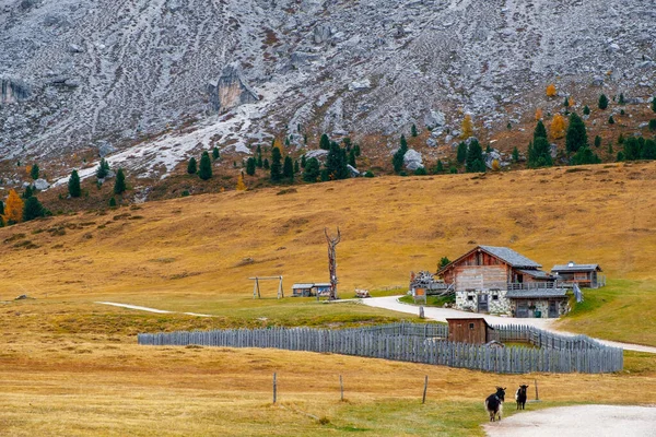 Sass Putia Prachtige Bergketen Dolomieten Bij Zonsondergang Provincie Bolzano Zuid — Stockfoto