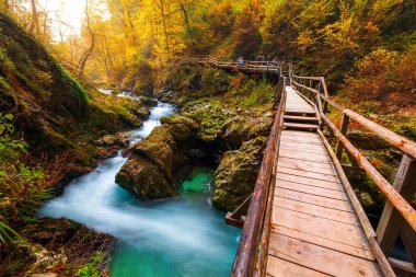 Güzel Vintgar Vadisi kanyonu ve sonbahar renklerinde ahşap tahta, Slovenya, Avrupa 'da Bled yakınlarında meşhurdur.