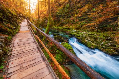 Güzel Vintgar Vadisi kanyonu ve sonbahar renklerinde ahşap tahta, Slovenya, Avrupa 'da Bled yakınlarında meşhurdur.
