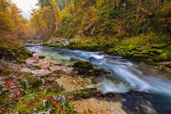 Güzel Vintgar Vadisi Kanyonu Sonbahar Renklerinde Ahşap Tahta Slovenya Avrupa — Stok fotoğraf