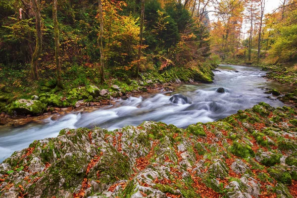 Güzel Vintgar Vadisi Kanyonu Sonbahar Renklerinde Ahşap Tahta Slovenya Avrupa — Stok fotoğraf