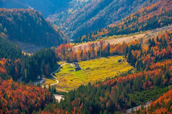 Hermosa Vista Del Valle Colores Otoñales Camino Mangart Eslovenia Europa —  Fotos de Stock