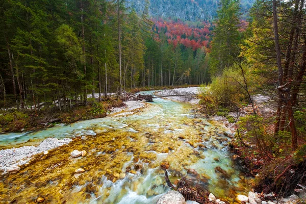 Удивительный Быстрый Поток Красивых Осенних Красок Глубинах Леса Словени Европа — стоковое фото