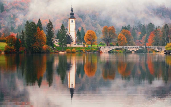Прекрасні Осінні Кольори Озері Бохінь Світанку Національному Парку Триглав Словенія — стокове фото