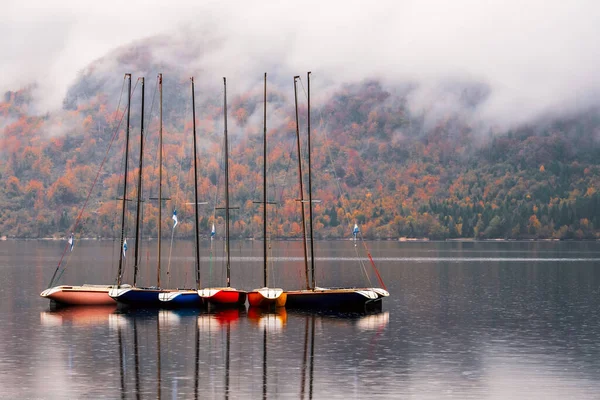 Belles Couleurs Automne Lac Bohinj Lever Soleil Dans Parc National — Photo