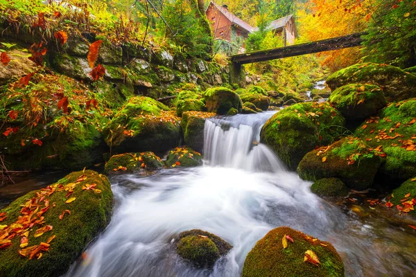 Wunderbarer Und Schnell Fließender Bach Wunderschönen Herbstfarben Den Tiefen Des — Stockfoto