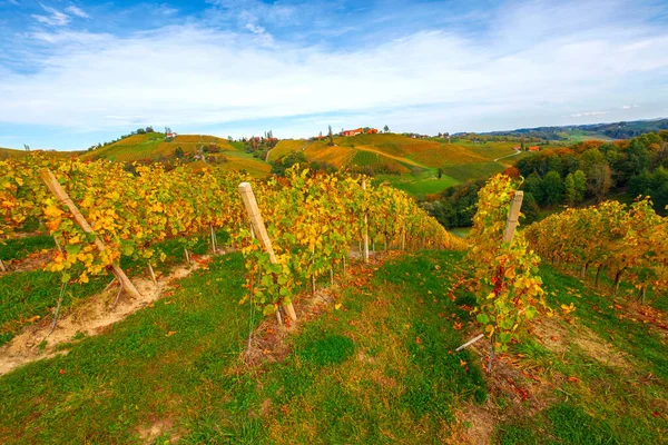 Slavná Vinařská Oblast Krásných Podzimních Barvách Nádherné Vinice Mariboru Blízkosti — Stock fotografie