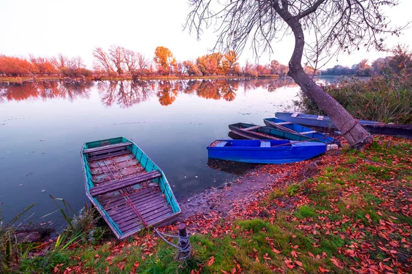 Hermosos Colores Otoñales Costa Tisza Con Antiguos Botes Madera Primer —  Fotos de Stock