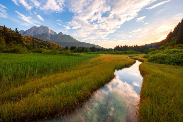 Piękne Jezioro Zelenci Alpach Julijskich Parku Narodowym Triglav Koło Kranjskiej — Zdjęcie stockowe