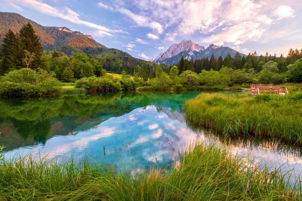 Vacker Zelenci Sjö Julia Alperna Triglav Nationalpark Nära Kranjska Gora — Stockfoto