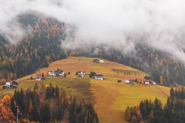 Güzel sonbahar renkleri Odle Dağları yakınlarındaki Santa Maddalena köyündeki yamaç, Trentino Alto Adige bölgesinde Funes Vadisi, İtalya 'nın güneyindeki tyrol