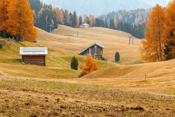 Gemütliche Details Auf Der Seiser Alm Kiefern Herbstfarben Hintergrund Der — Stockfoto