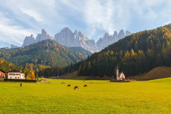 Hermosos Dolomitas Cordillera Odle Montañas Seceda Cerca Del Pueblo Santa —  Fotos de Stock