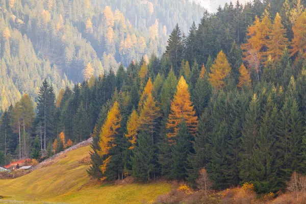 Hermosos Colores Otoño Ladera Pueblo Santa Maddalena Cerca Las Montañas —  Fotos de Stock