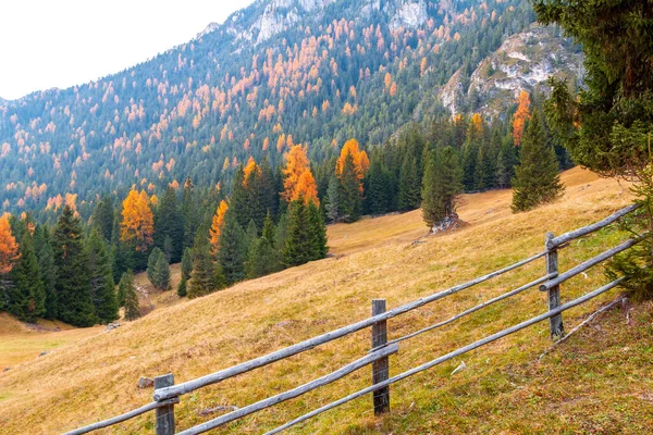 Prachtige Herfstkleuren Helling Het Dorp Santa Maddalena Bij Odle Mountains — Stockfoto