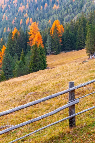 Prachtige Herfstkleuren Helling Het Dorp Santa Maddalena Bij Odle Mountains — Stockfoto