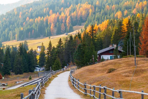 Prachtige Herfstkleuren Helling Het Dorp Santa Maddalena Bij Odle Mountains — Stockfoto