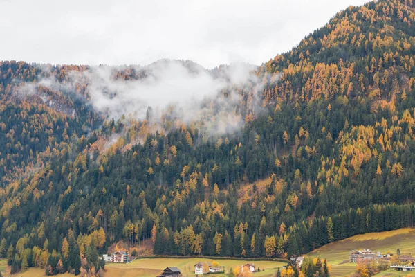 Mistig Weer Ortisei Ulrich Mooie Herfstkleuren Trentino Alto Adige Provincie — Stockfoto