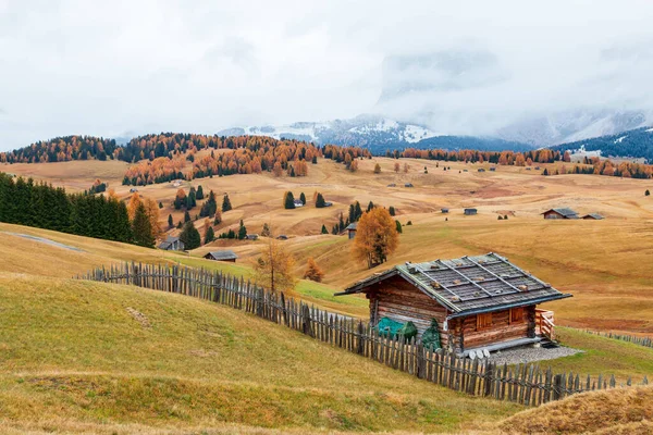 Acogedores Detalles Colores Otoñales Meseta Montaña Alpe Siusi Seiser Alm —  Fotos de Stock