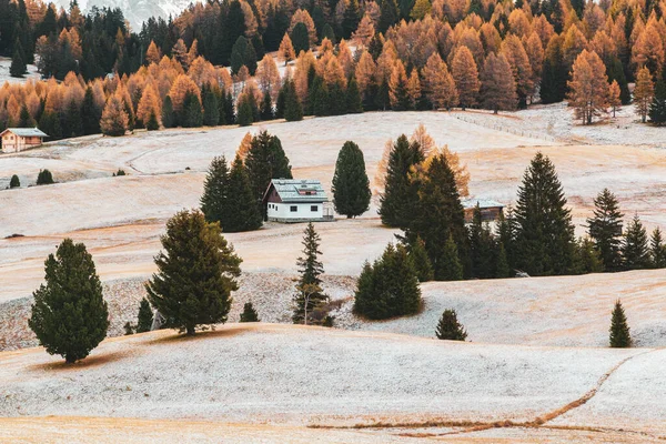 Winterlandschap Alpenweide Houten Huis Alpe Siusi Seiser Alm Langkofel Groep — Stockfoto
