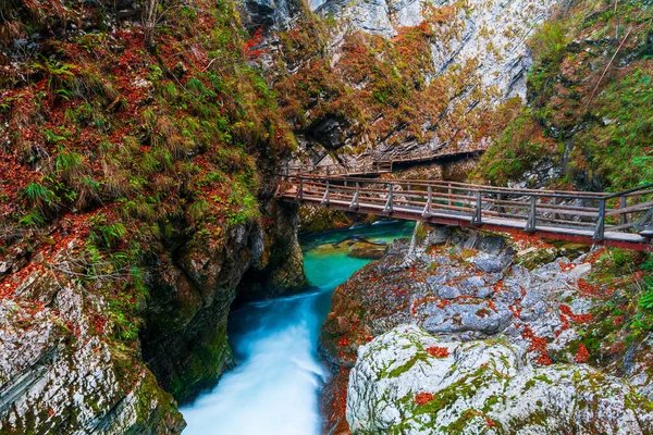 Słynny Ukochany Kanion Vintgar Gorge Drewnianą Ścieżką Pięknych Jesiennych Kolorach — Zdjęcie stockowe