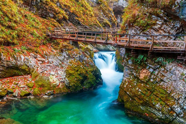 Słynny Ukochany Kanion Vintgar Gorge Drewnianą Ścieżką Pięknych Jesiennych Kolorach — Zdjęcie stockowe