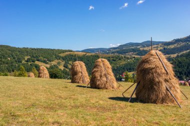 Yamaçlarda tipik balyaları olan Transilvanya dağları, Bihar dağları, Romanya 'daki Karpat dağları