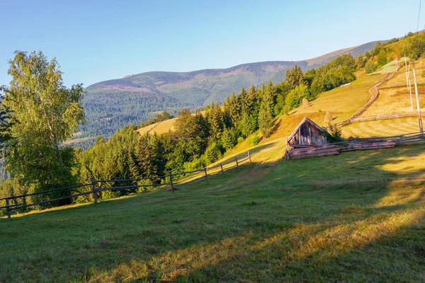 Typical Transylvanian Mountains Lonely Wooden House Wooden Fence Hillside Bihor — Photo