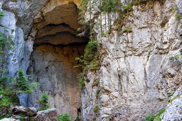 Zázračná Hradní Jeskyně Náhorní Plošině Padis Srdci Pohoří Bihar Transylvánie Royalty Free Stock Fotografie