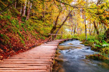 Ünlü Plitvice göllerinde güzel sonbahar renkleri, Hırvatistan 'da birçok güzel şelale, Plitvice Ulusal Parkı
