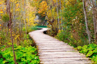 Ünlü Plitvice göllerinde güzel sonbahar renkleri, Hırvatistan 'da birçok güzel şelale, Plitvice Ulusal Parkı