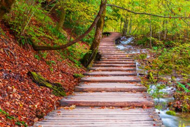 Ünlü Plitvice göllerinde güzel sonbahar renkleri, Hırvatistan 'da birçok güzel şelale, Plitvice Ulusal Parkı