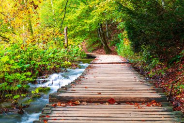 Ünlü Plitvice göllerinde güzel sonbahar renkleri, Hırvatistan 'da birçok güzel şelale, Plitvice Ulusal Parkı